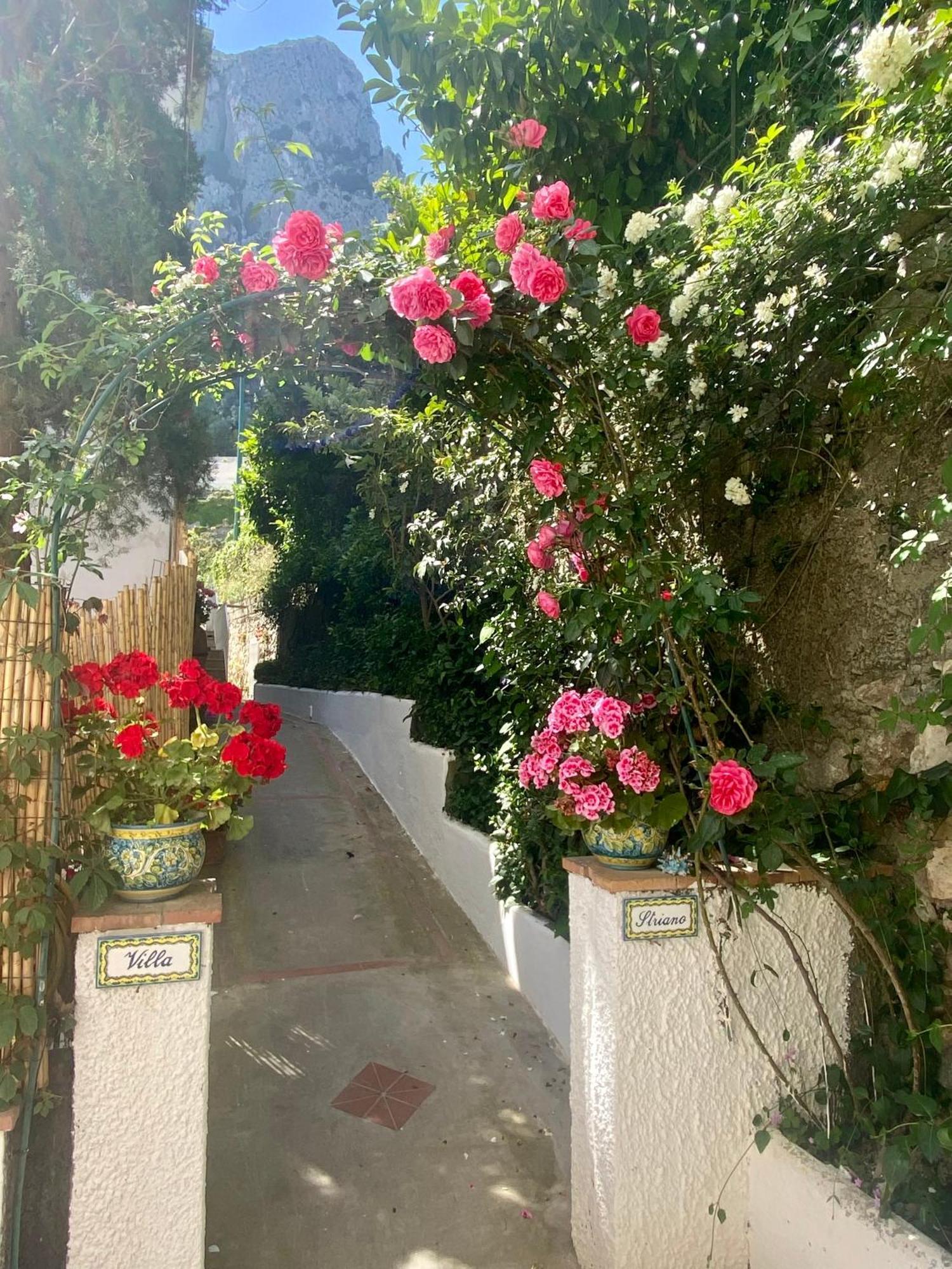 Villa Striano Boutique Capri Exterior photo