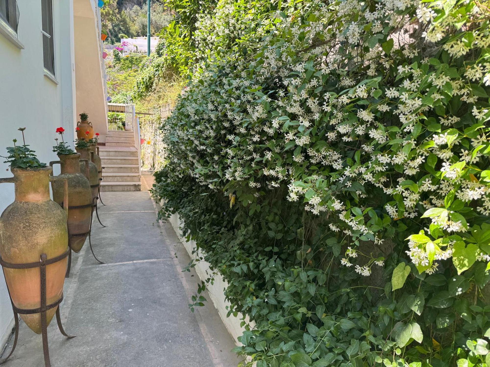 Villa Striano Boutique Capri Exterior photo