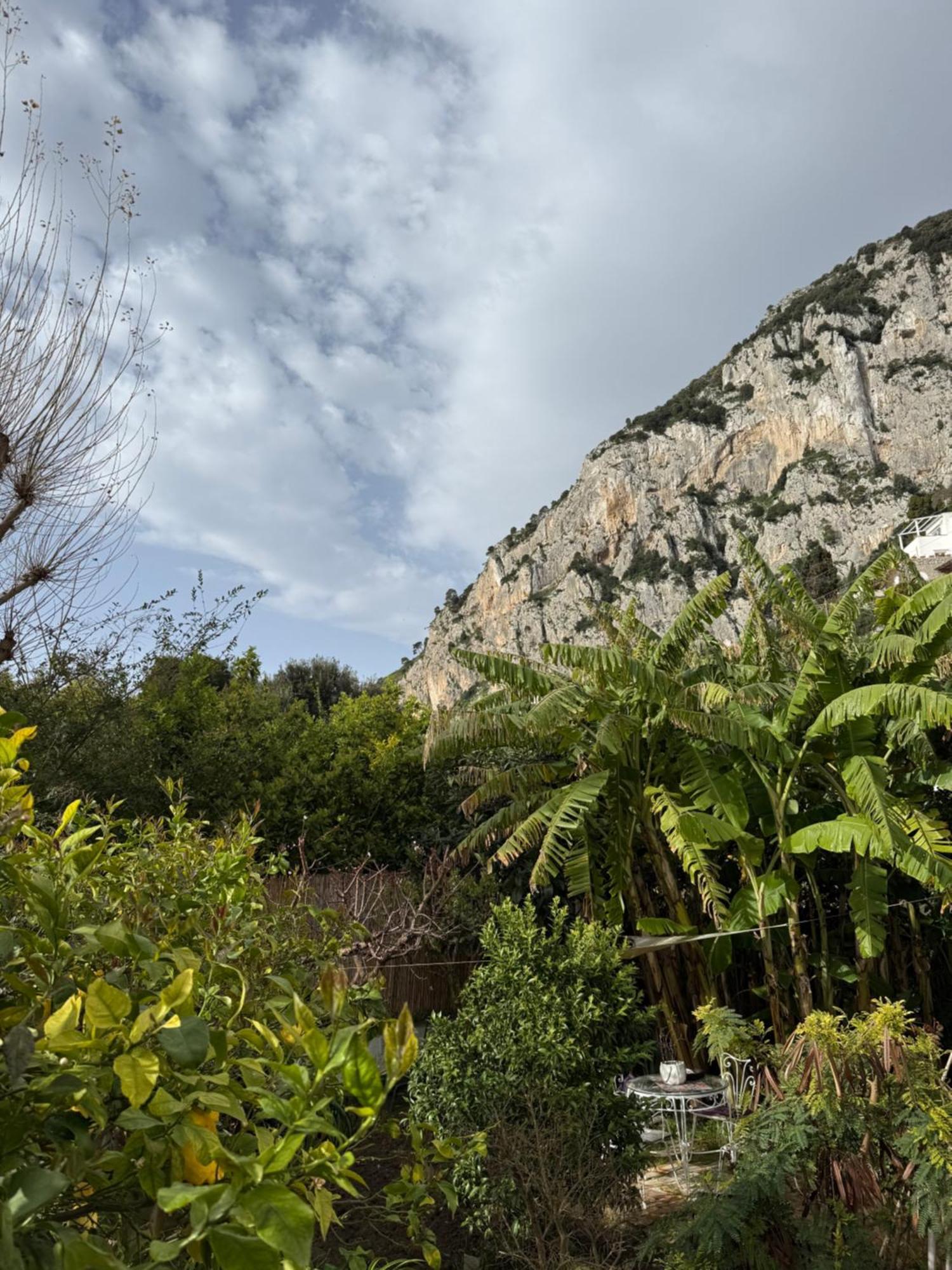 Villa Striano Boutique Capri Exterior photo