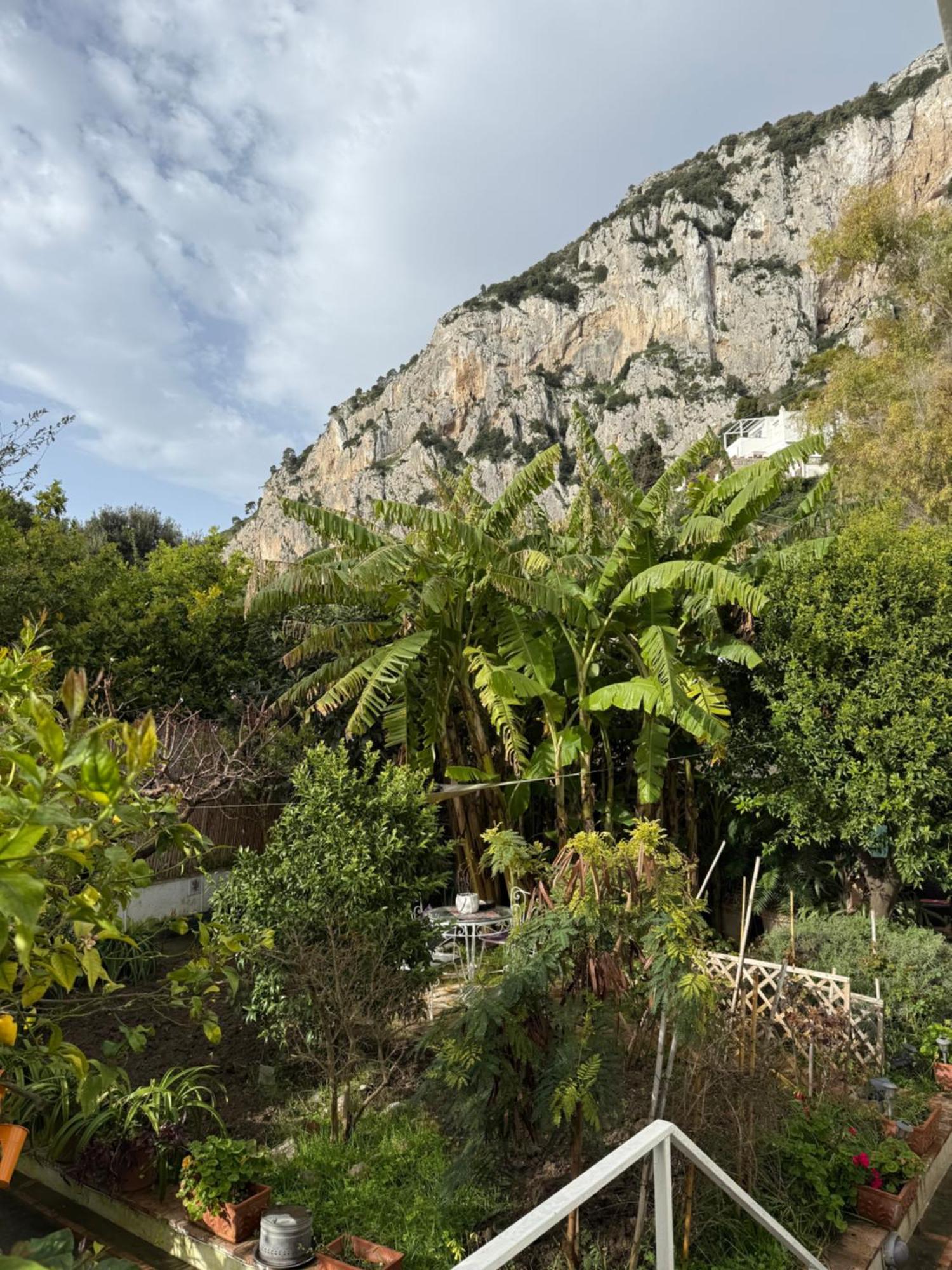 Villa Striano Boutique Capri Exterior photo