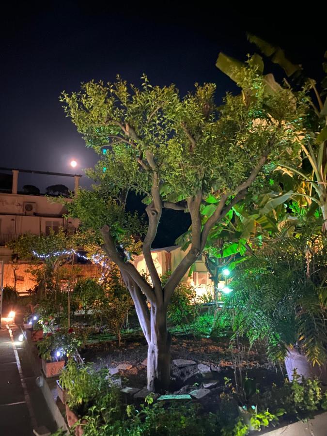Villa Striano Boutique Capri Exterior photo